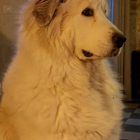 Refuge De Campagne Le