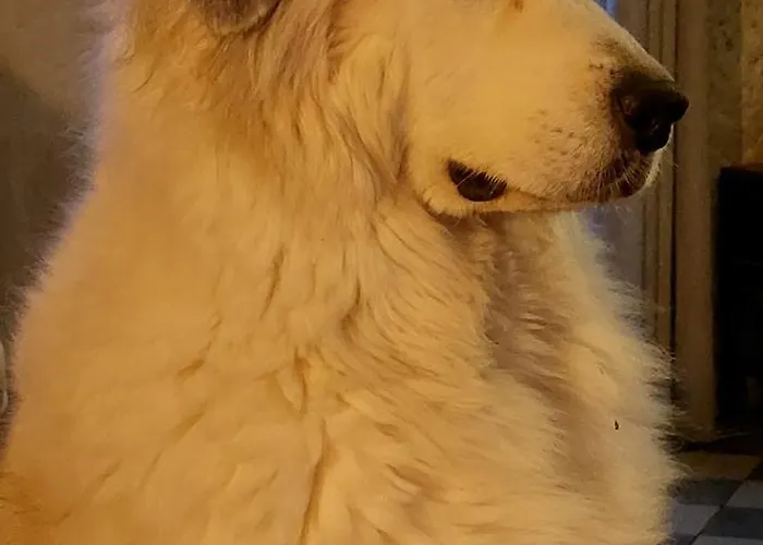 Refuge De Campagne Le